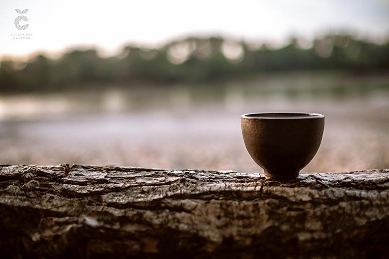 Shanlinxi 'charcoal roast' high-mountain oolong 2024