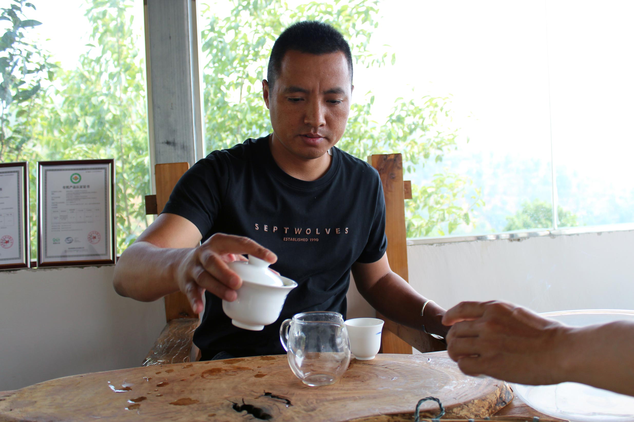 2025 Štúdie Horkosti: Banzhang Mengnan Sheng