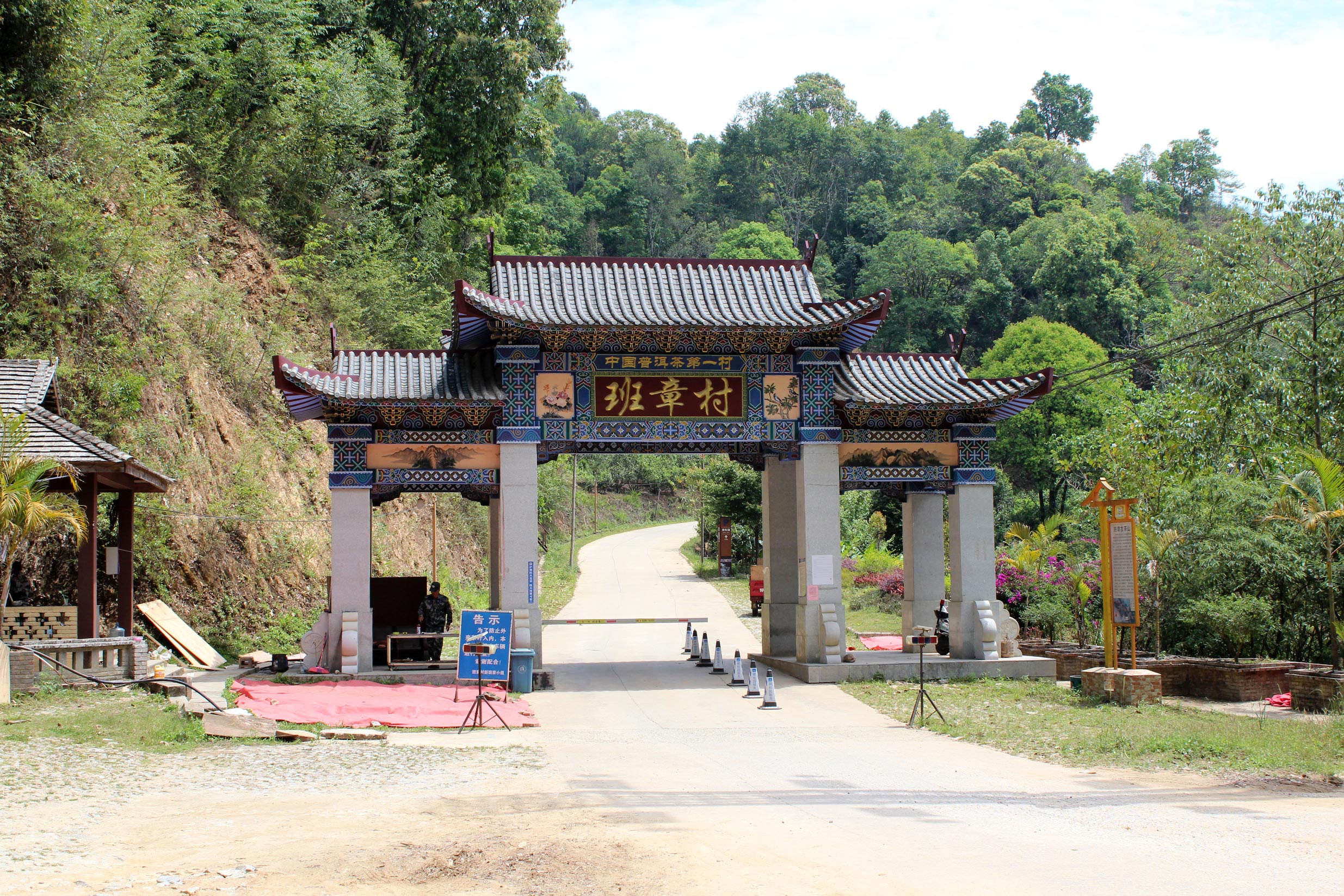 2006 BulangShan qiaomu Sheng