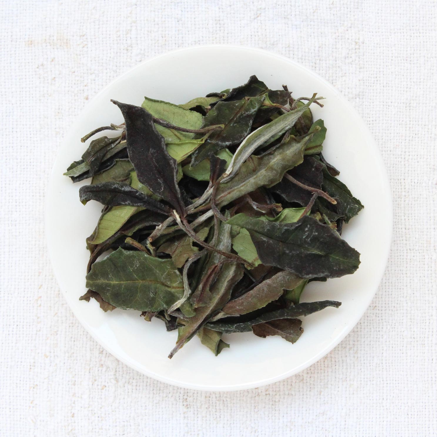 BaiyingShan wild tree white 2026