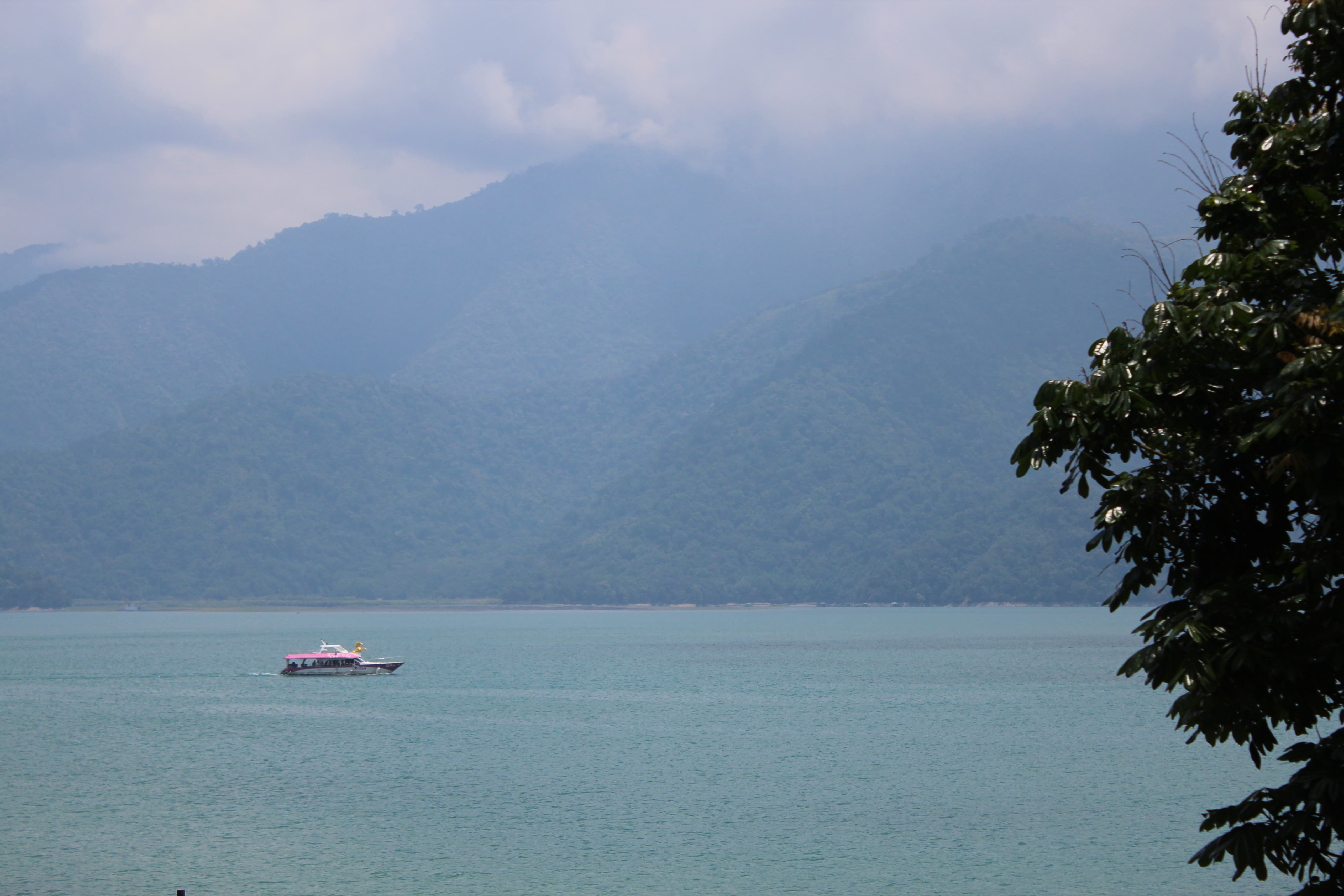 Kolekcia - Taiwanské červené čaje zo Sun Moon Lake